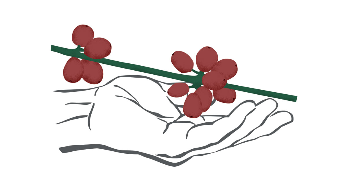 CuppedHand_Cherries