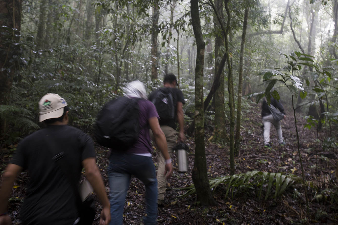 The trail up to Finca la Mula.